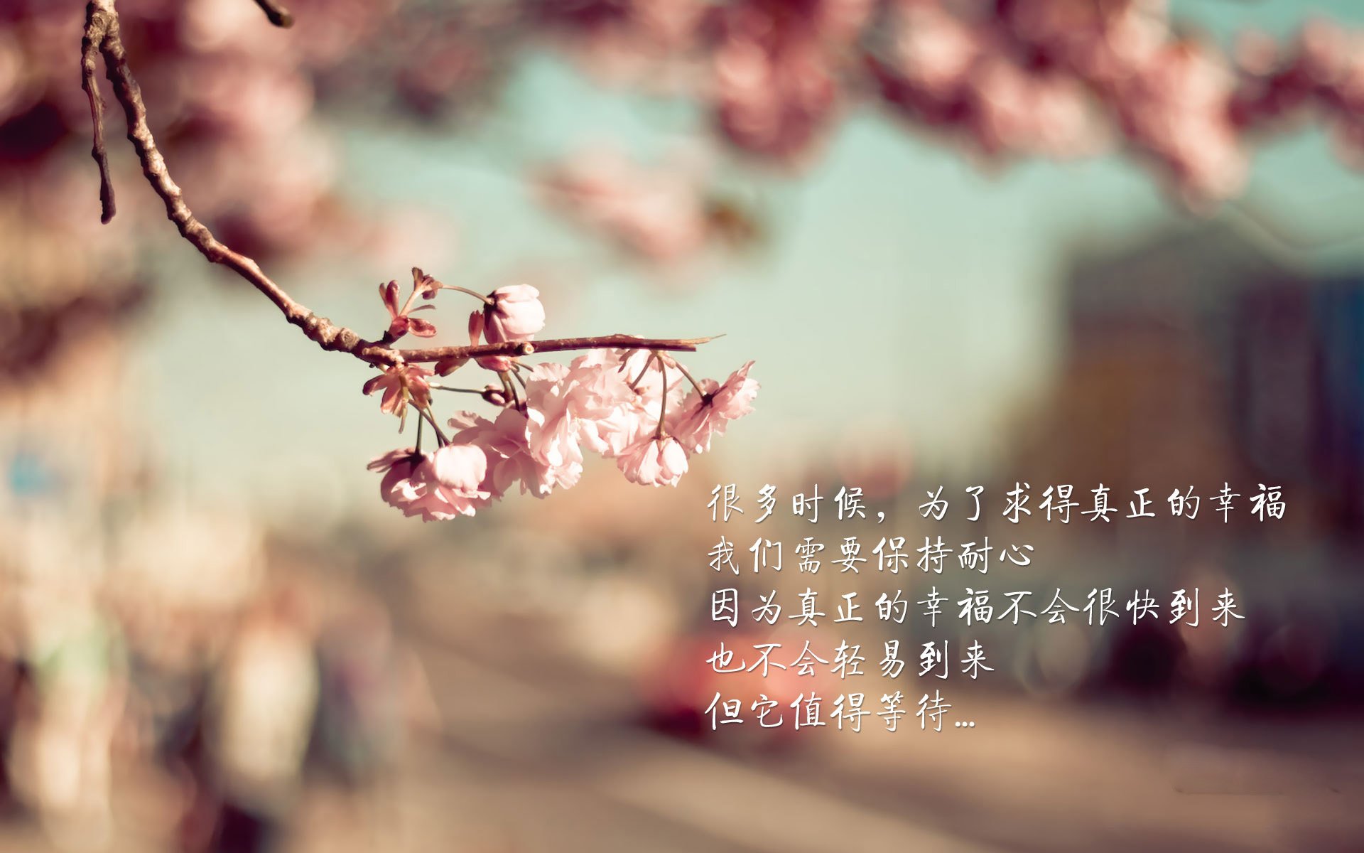 西甲比赛，比分1-0，主队凭借关键扑救锁定胜局，控球率领先，西甲比分赛程