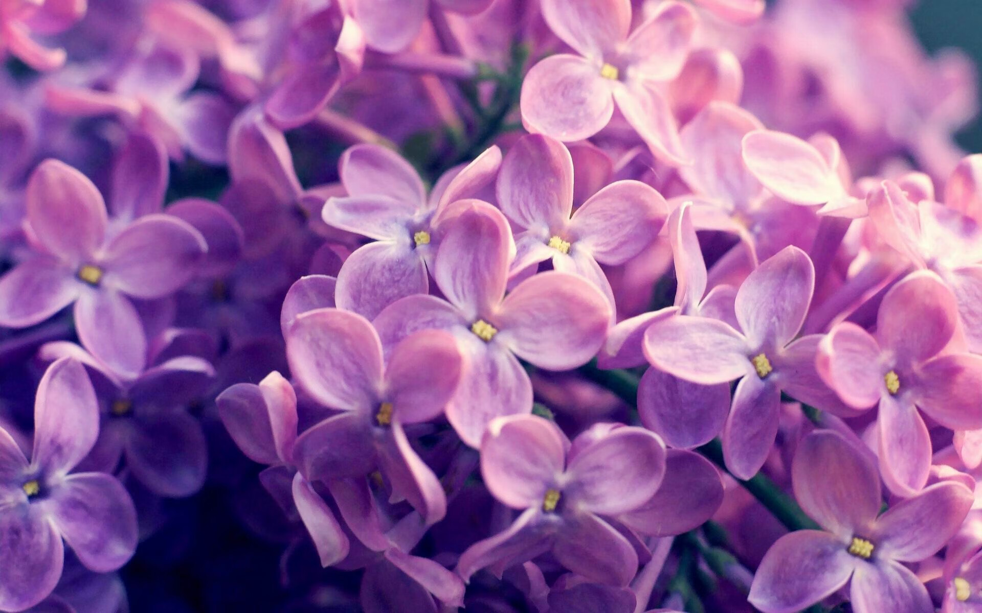 随机中超各队备战新赛季，冲击冠军梦想，中超 新赛季