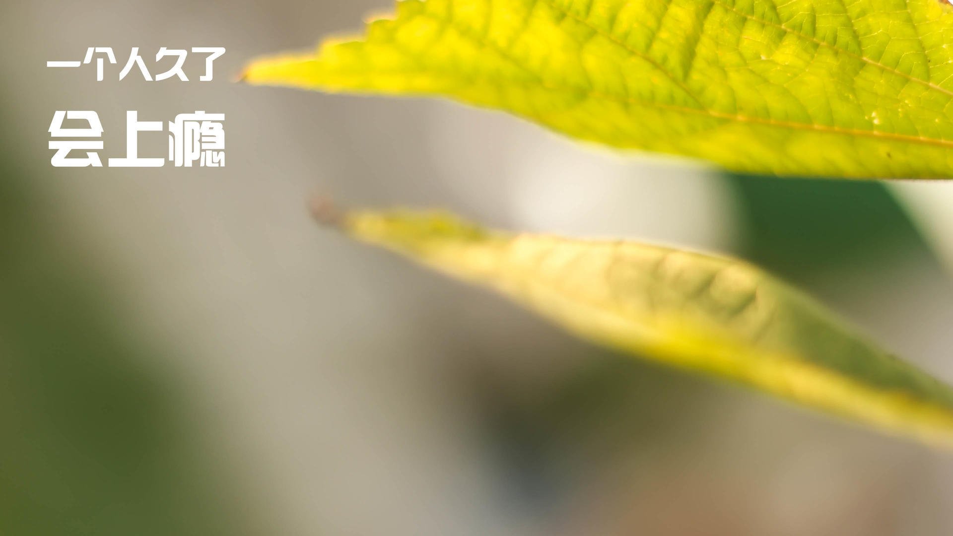 随机巴特勒关键抢断热火击败黄蜂，巴特勒在热火