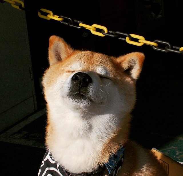 德国男子4x400米接力队在决赛中获得铜牌,德国接力美女