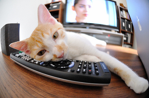 开云全站-快船客场击败掘金，展现出色团队配合，快船3_1被掘金翻盘