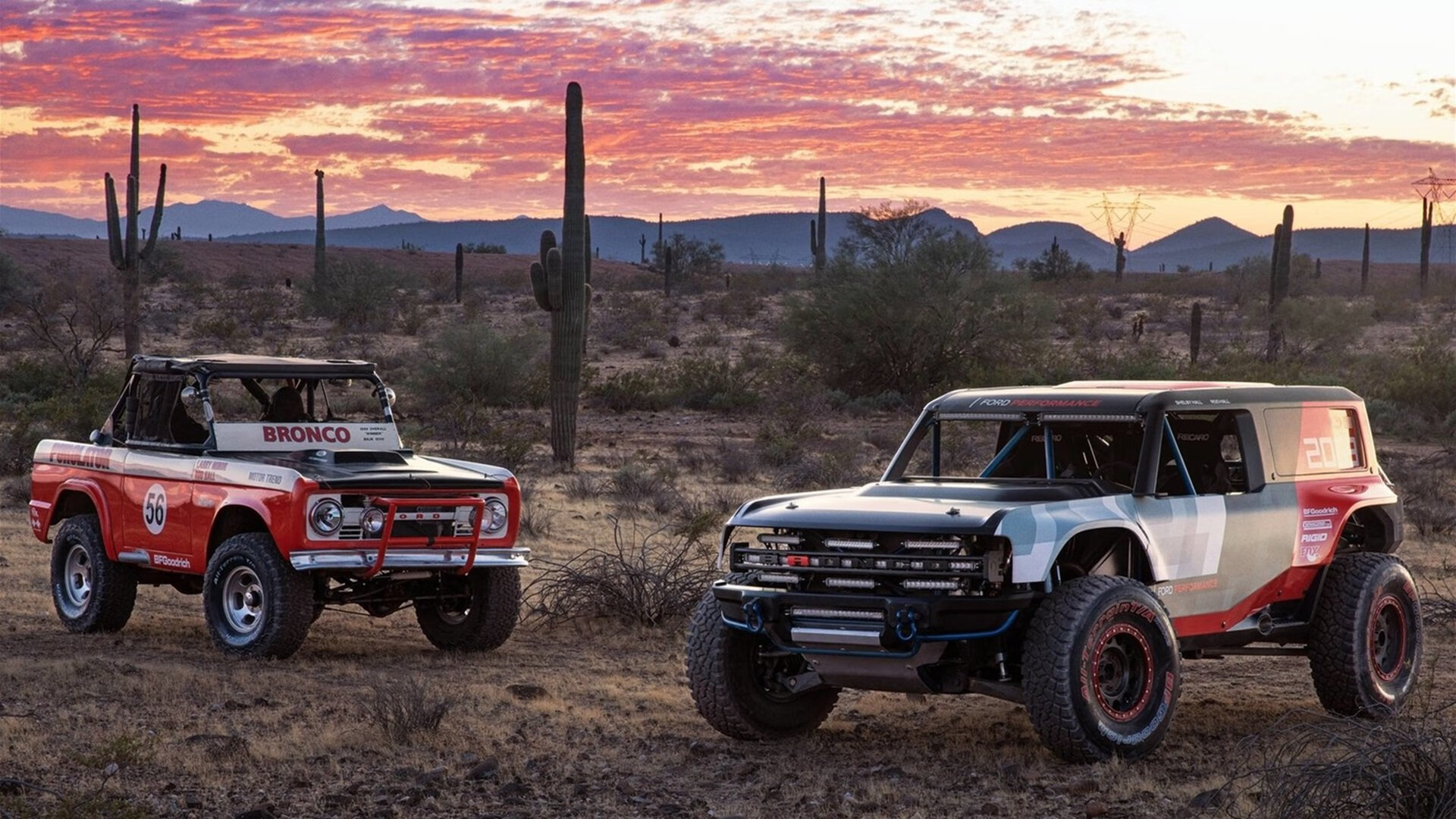 开云下载-斯图加特主场拿下对手，士气高涨，斯图加特球迷