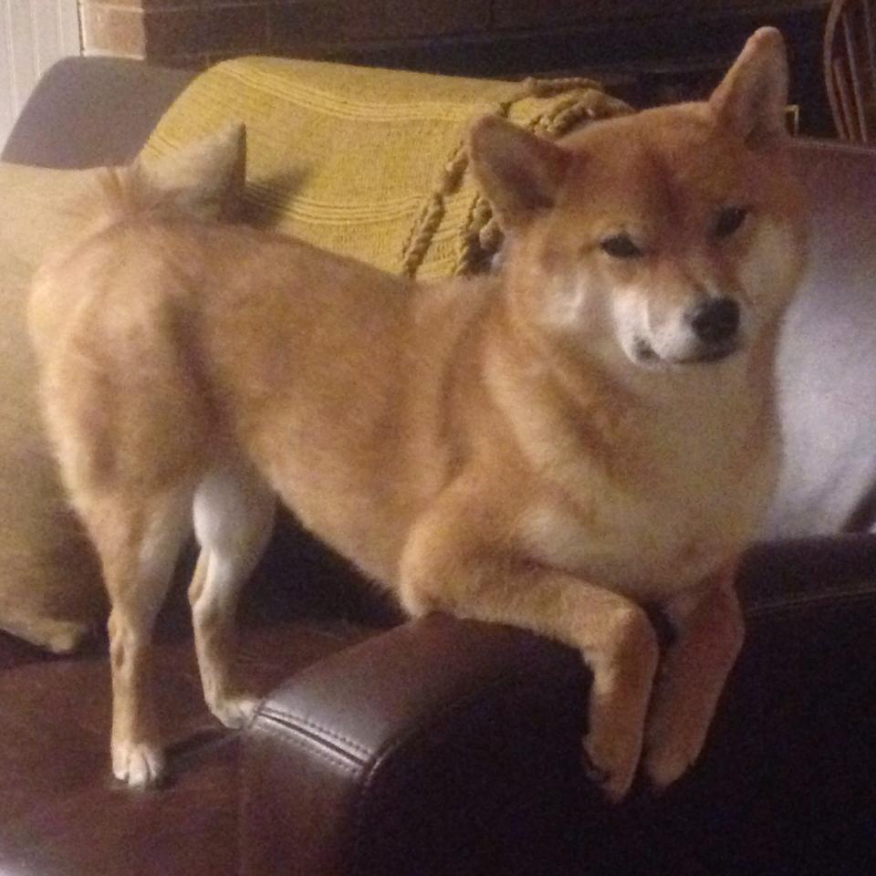 无惧强敌压力,勇往直前争夺荣耀,勇往直前无畏无惧