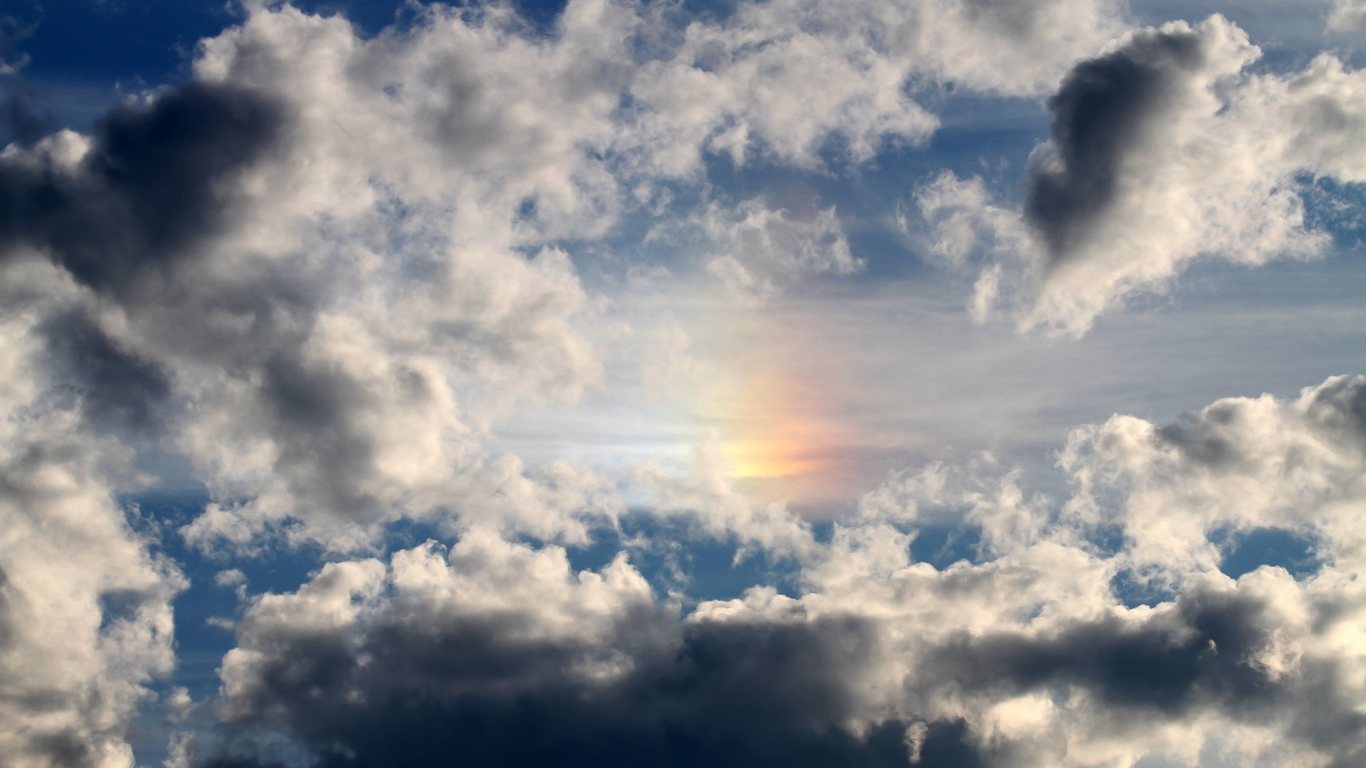 罗马球员公开表态支持主帅,士气高涨备战,罗马球员阵容