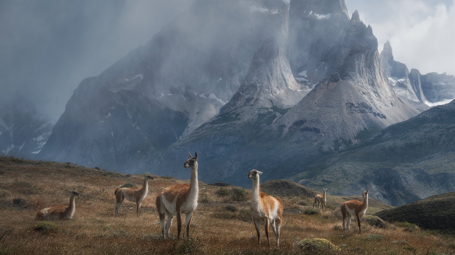 Kaiyun官方登录入口-葡萄牙国家队士气高涨，凭借进攻力取胜，葡萄牙国家队阵容2021首发