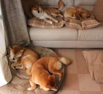 葡萄牙队在大赛中击败对手,晋级决赛阶段,2021葡萄牙队比赛视频