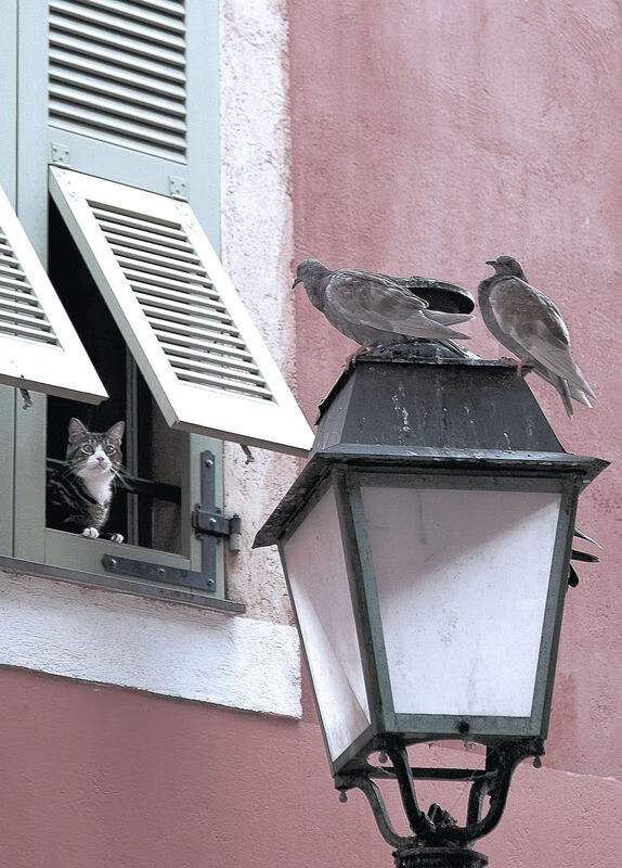 NBA赛季抢断效率统计,nba抢断榜历史记录