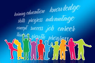 开云下载-中国篮球职业联赛品牌战略及市场推广研究，中国的职业篮球联赛