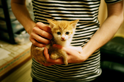 德甲“环保球场”建设与社会责任实践分析