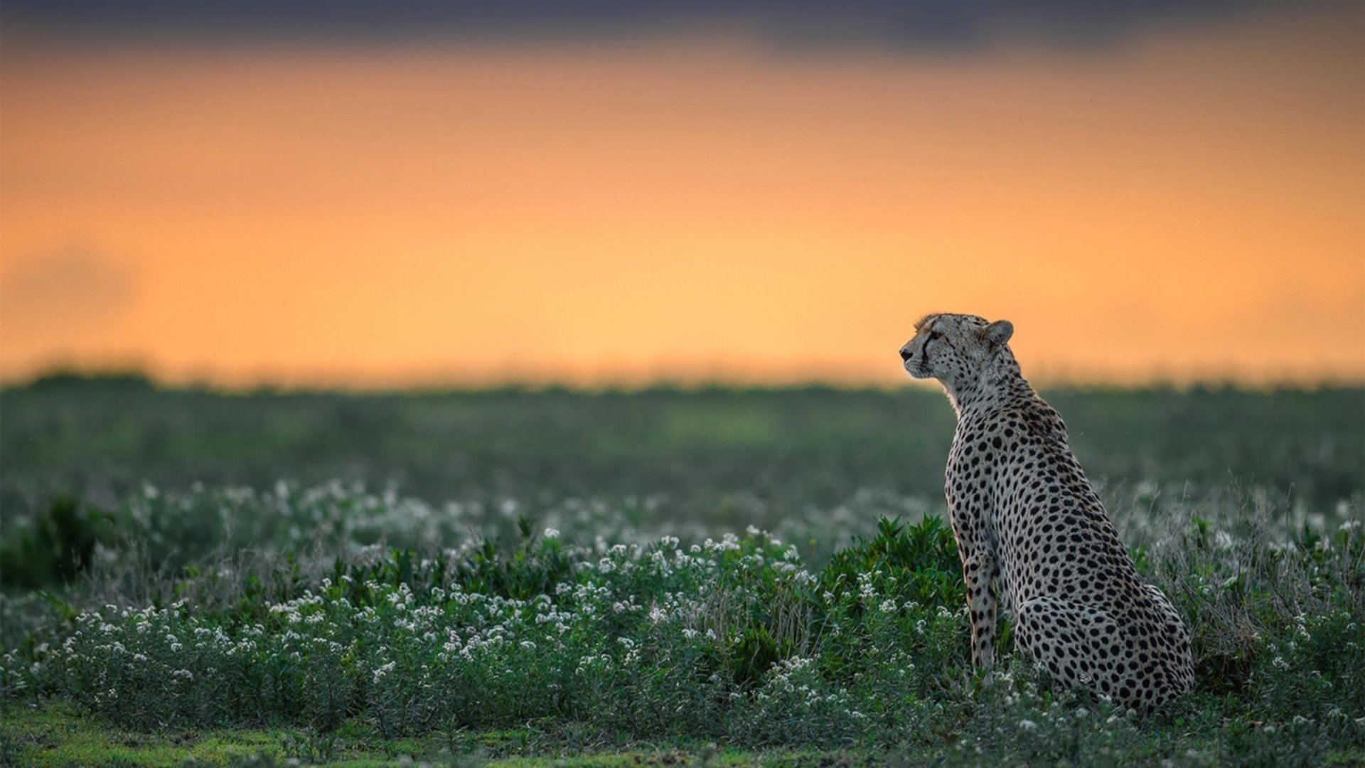 kaiyun体育综合-五大联赛季中期俱乐部健康组负荷管理策略