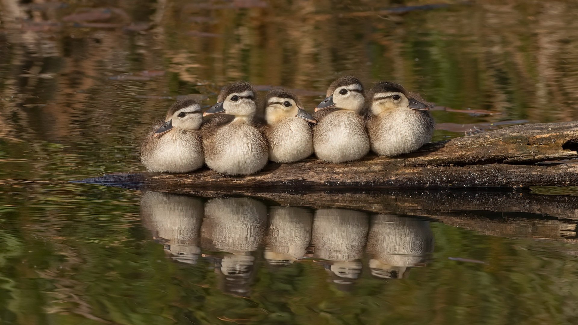 KAIYUNAPP-山西龙狮加强三线联动保持场上活力