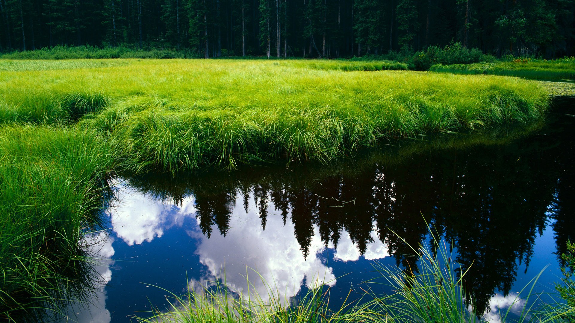 开云官网在线-CBA球队完善伤病防护体系减少运动员伤病发生率，cba伤员情况